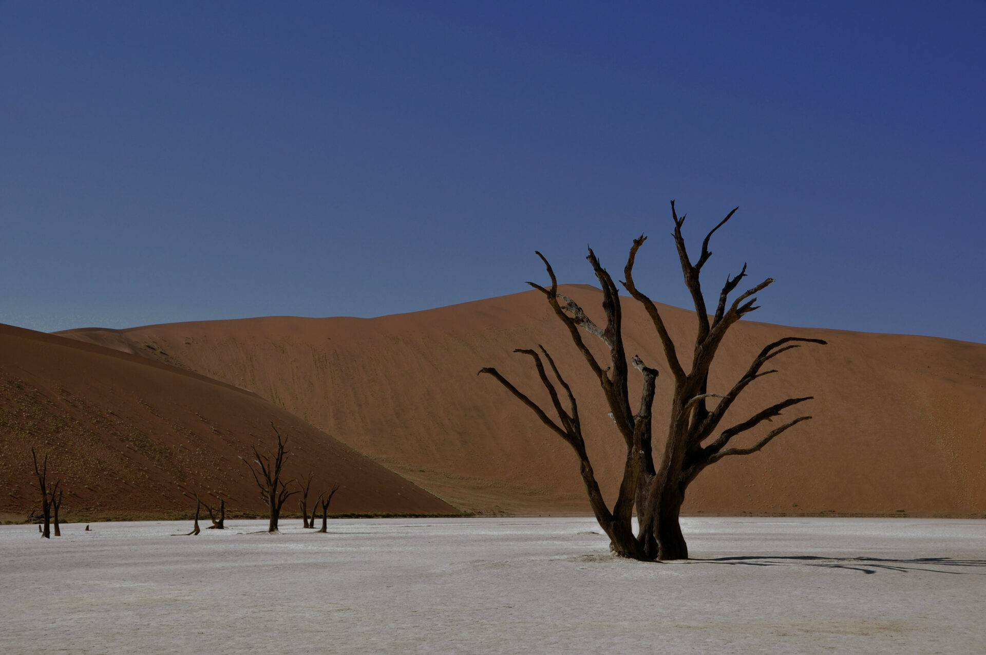 vaccinaties-namibi-reisprik
